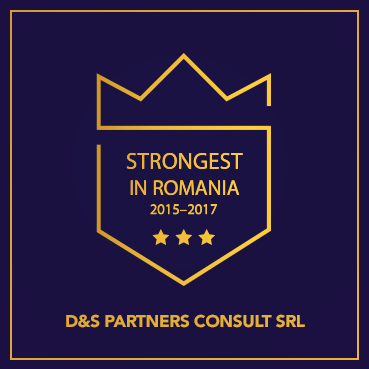D&S PARTNERS CONSULT SRL logo