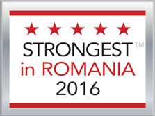STANDARD SRL logo